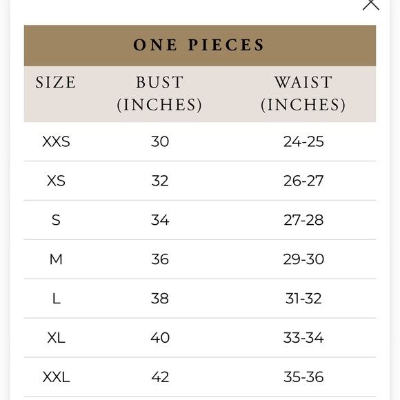 The Destiny One-Piece Swimsuit - Picture 3 of 3